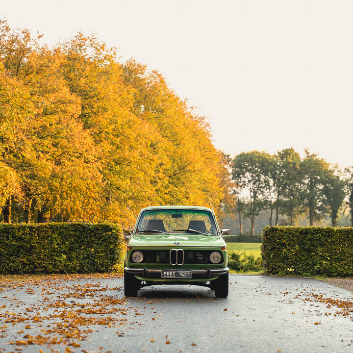 Image 12/99 de BMW 2002 tii (1974)