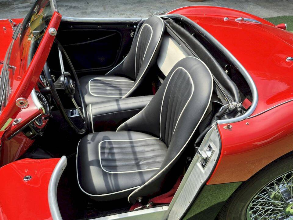 Bild 23/62 von Austin-Healey 100&#x2F;4 (BN1) (1954)