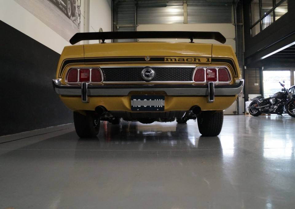 Image 18/46 of Ford Mustang Mach 1 (1972)