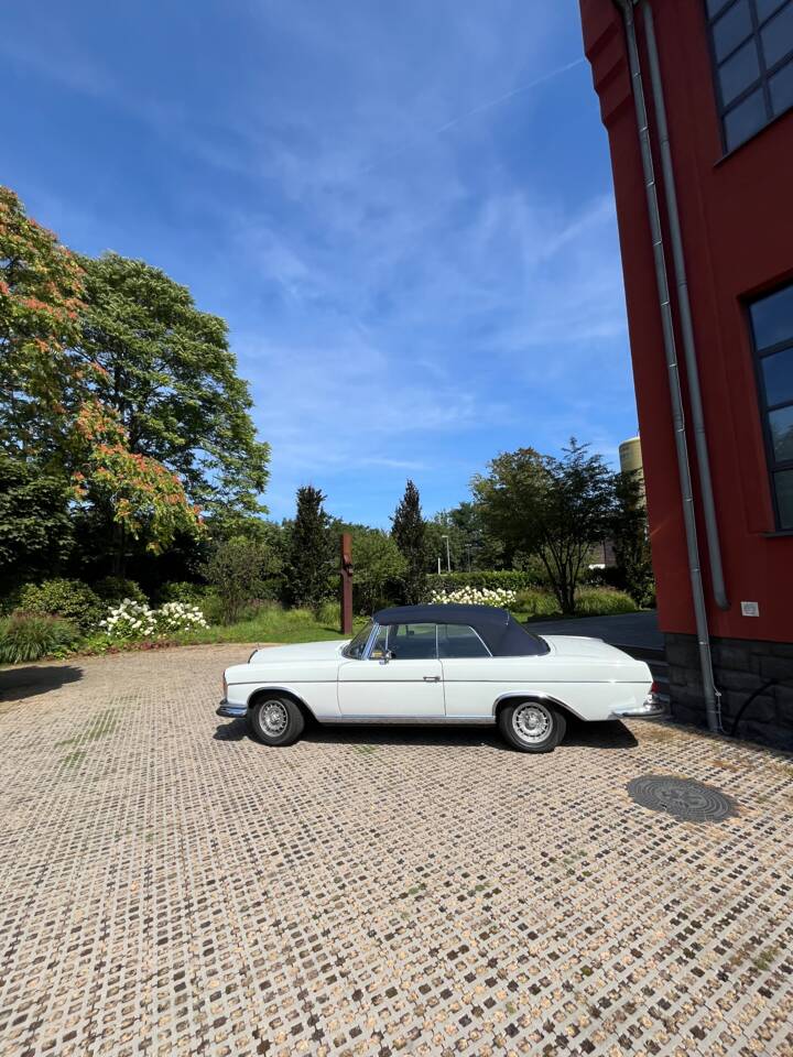 Bild 10/29 von Mercedes-Benz 280 SE (1968)