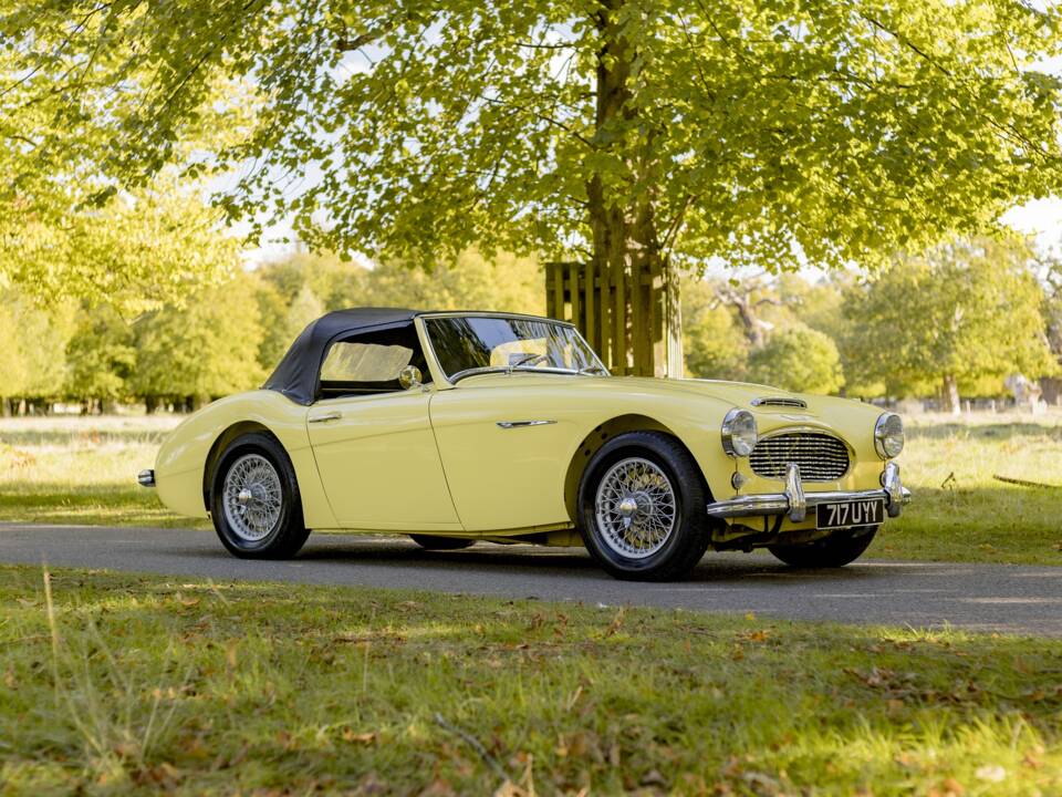 Bild 21/50 von Austin-Healey 3000 Mk I (BT7) (1960)
