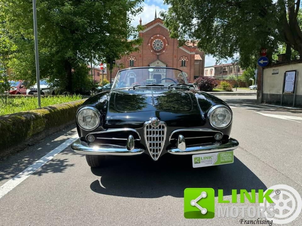 Image 8/10 of Alfa Romeo Giulietta Spider (1958)