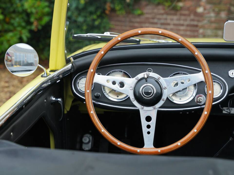 Bild 31/50 von Austin-Healey 3000 Mk I (BN7) (1960)