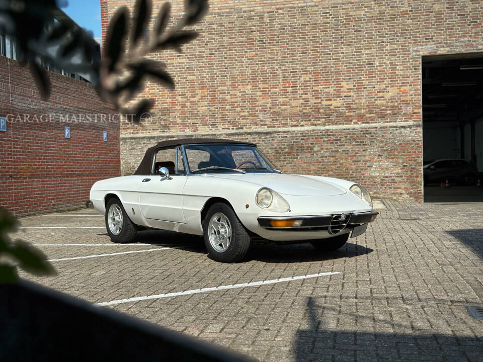 Afbeelding 3/72 van Alfa Romeo 2000 Spider Veloce (1981)
