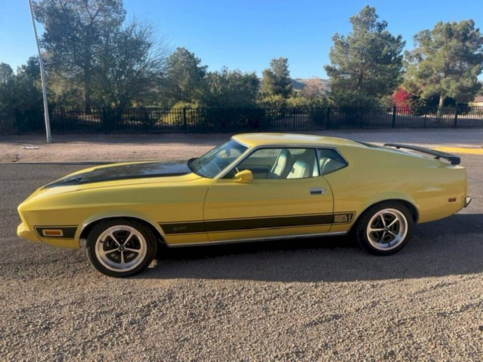 Image 6/21 of Ford Mustang 351 (1973)