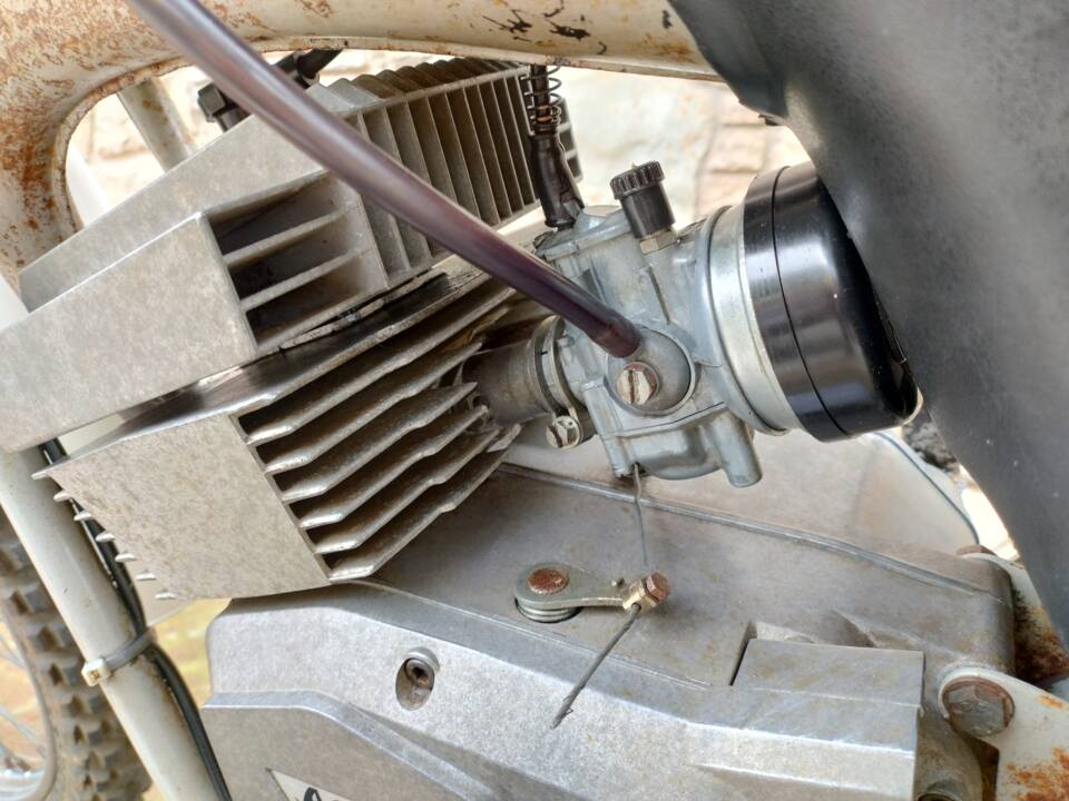 Immagine 28/35 di Aspes DUMMY (1976)