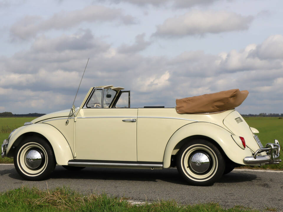 Image 6/50 of Volkswagen Beetle Speedster (1963)