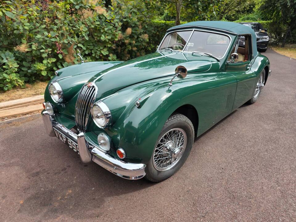 Bild 3/45 von Jaguar XK 140 DHC (1955)