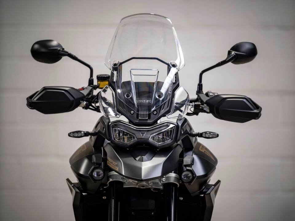 Bild 6/8 von Triumph DUMMY (2024)