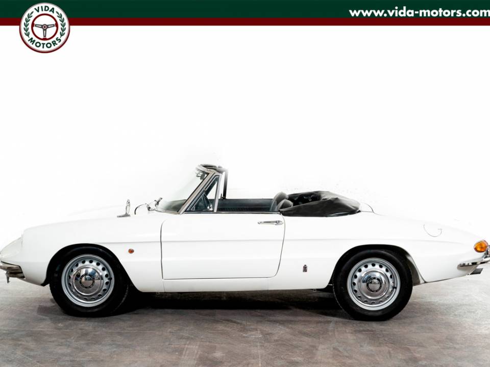 Image 13/41 of Alfa Romeo 1600 Spider Duetto (1967)