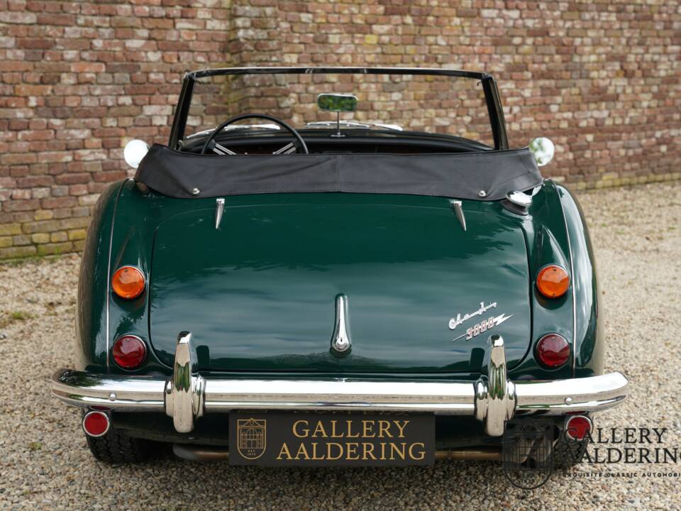 Afbeelding 6/50 van Austin-Healey 3000 Mk III (BJ8) (1966)
