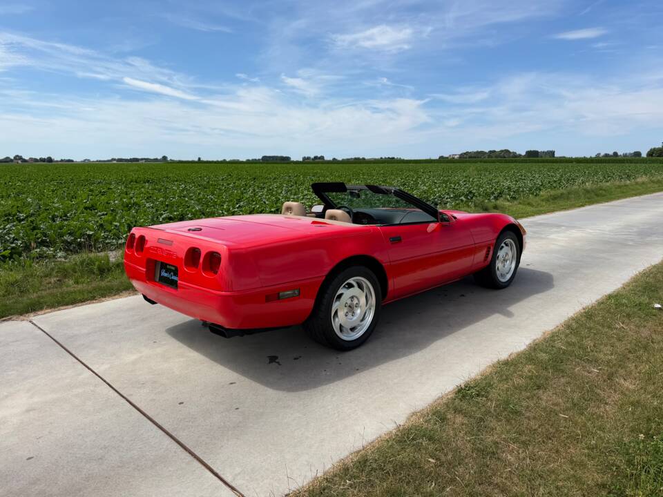 Imagen 6/43 de Chevrolet Corvette Convertible (1995)