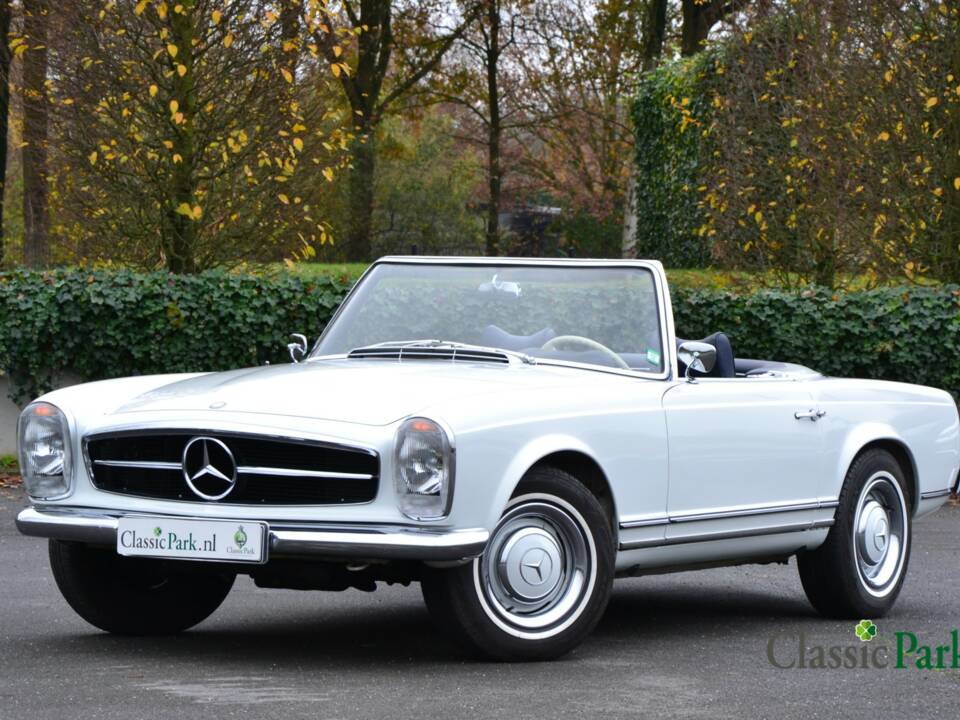 Image 1/50 of Mercedes-Benz 250 SL (1966)
