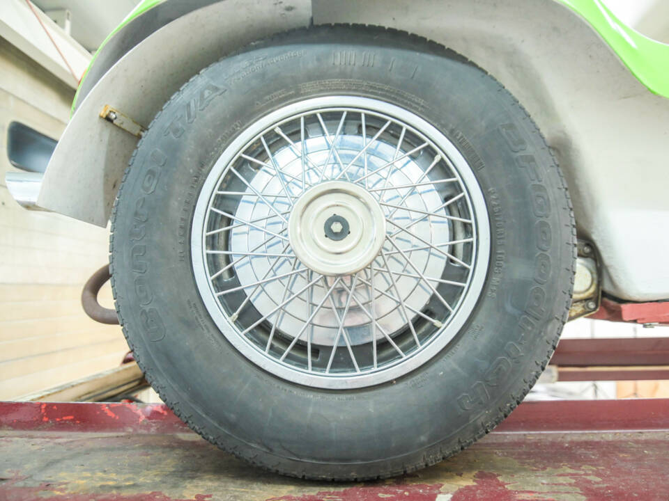 Image 42/50 of Volkswagen Meyers Manx Buggy (1966)