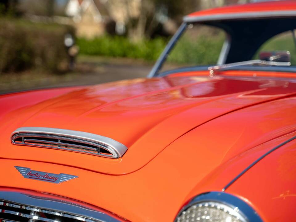 Image 5/27 de Austin-Healey 100/6 (BN4) (1957)