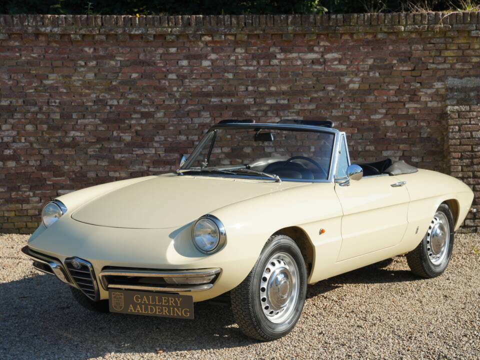 Bild 1/50 von Alfa Romeo 1600 Duetto (1967)