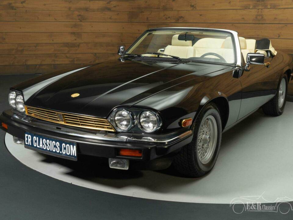 Image 6/19 de Jaguar XJ-S Convertible (1990)