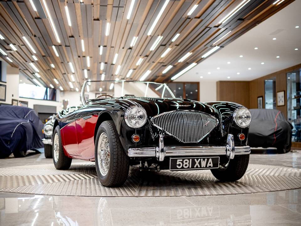 Bild 11/50 von Austin-Healey 100/4 (BN2) (1956)