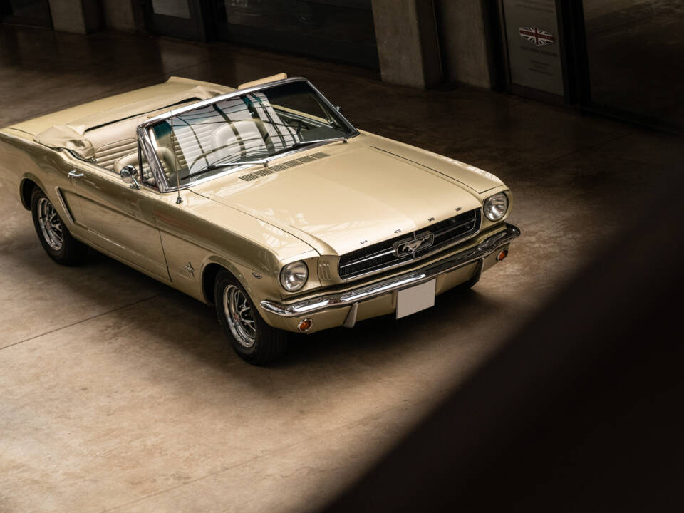 Image 16/19 de Ford Mustang 289 (1965)