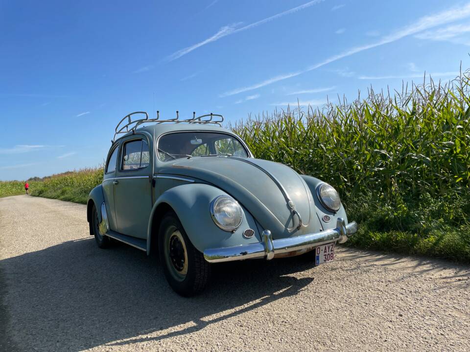 Image 4/16 of Volkswagen Beetle 1200 Export &quot;Oval&quot; (1956)