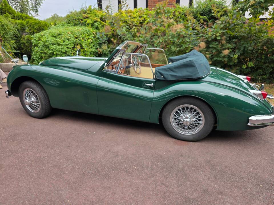 Bild 21/45 von Jaguar XK 140 DHC (1955)
