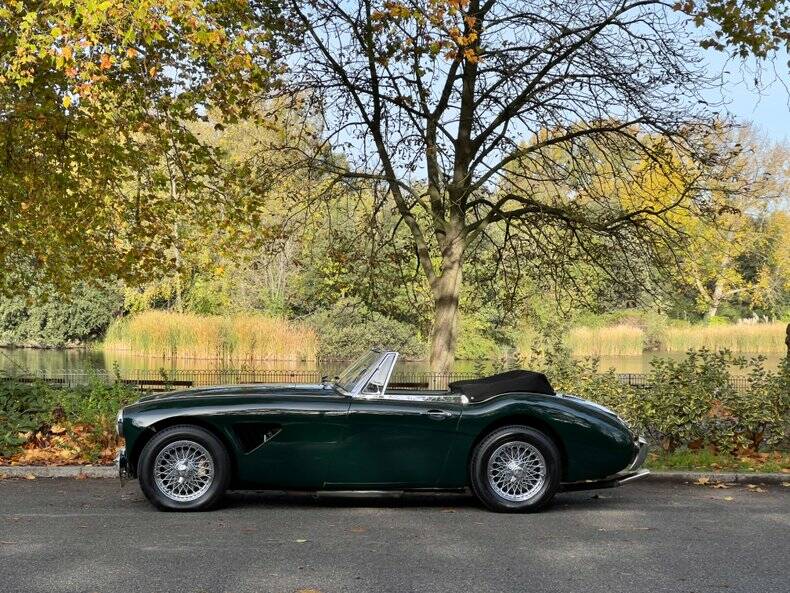 Bild 15/50 von Austin-Healey 3000 Mk II (BJ7) (1964)