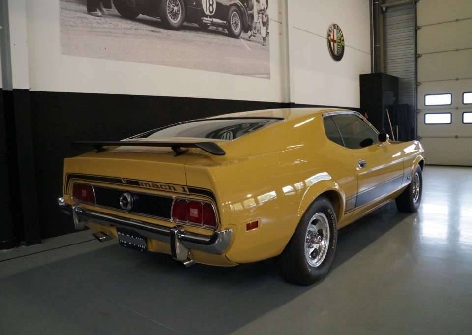 Image 22/50 of Ford Mustang Mach 1 (1973)