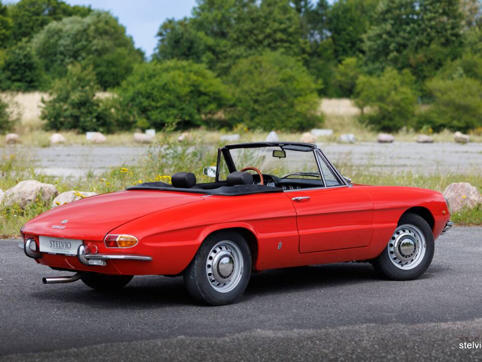 Image 13/44 of Alfa Romeo 1750 Spider Veloce (1969)