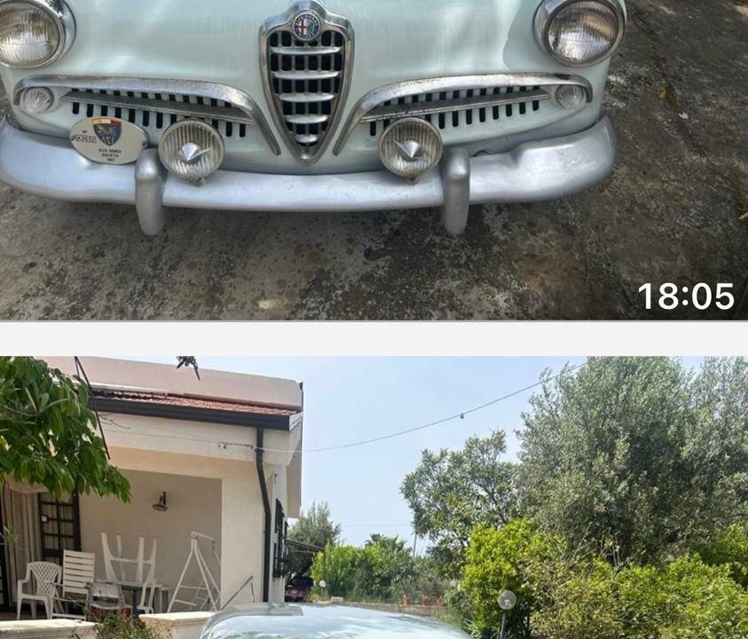 Immagine 44/50 di Alfa Romeo Giulietta (1957)