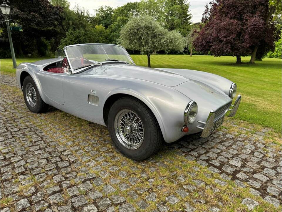 Bild 2/24 von AC Cobra 289 (2001)