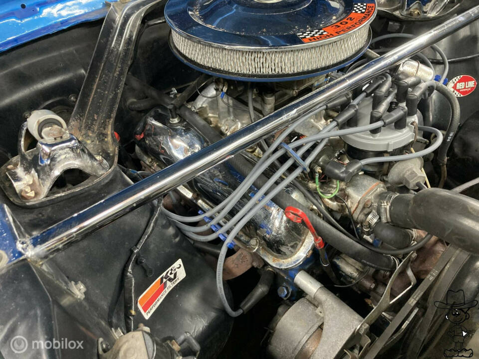 Image 13/50 of Ford Shelby GT 350 (1966)