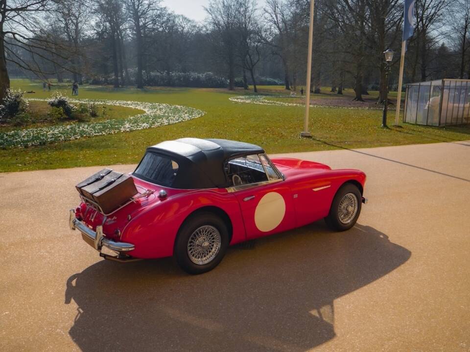 Afbeelding 30/52 van Austin-Healey 3000 Mk III (BJ8) (1965)