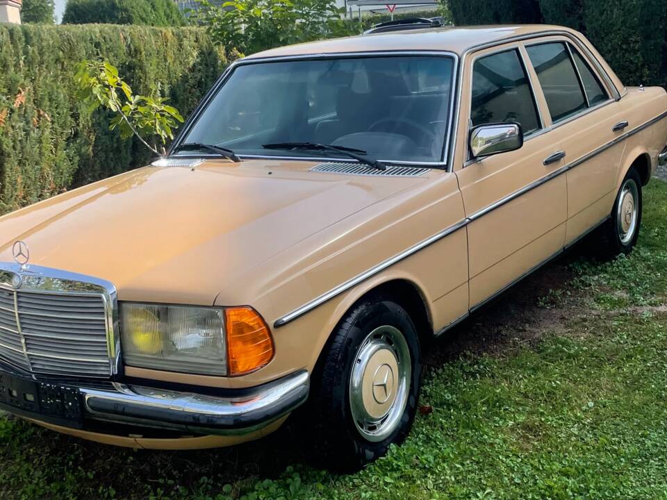 Bild 2/52 von Mercedes-Benz 280 (1976)
