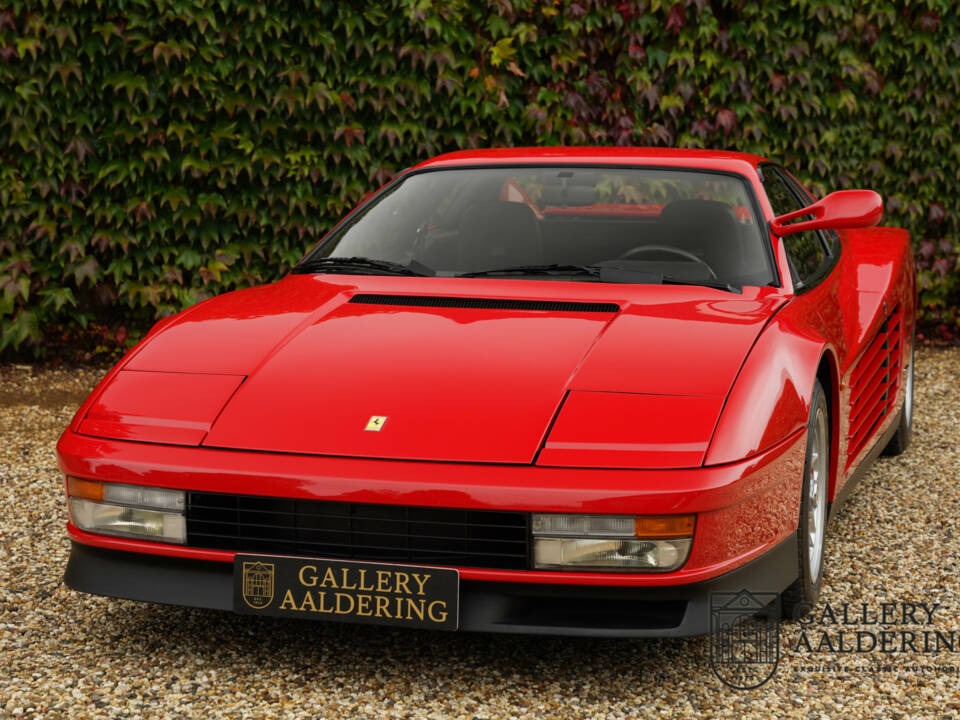 Afbeelding 12/50 van Ferrari Testarossa (1986)