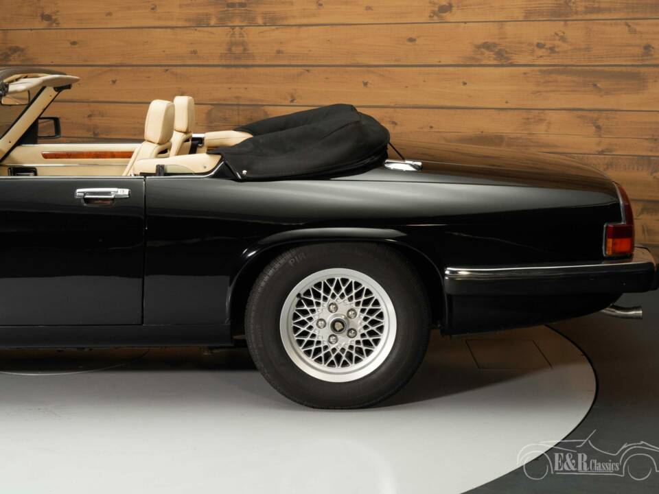 Bild 8/8 von Jaguar XJ-S H.E. (1989)