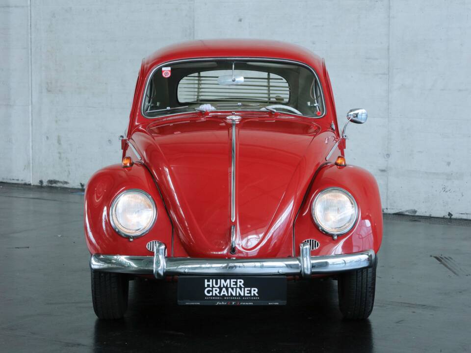 Immagine 5/50 di Volkswagen Beetle 1200 Export &quot;Dickholmer&quot; (1963)