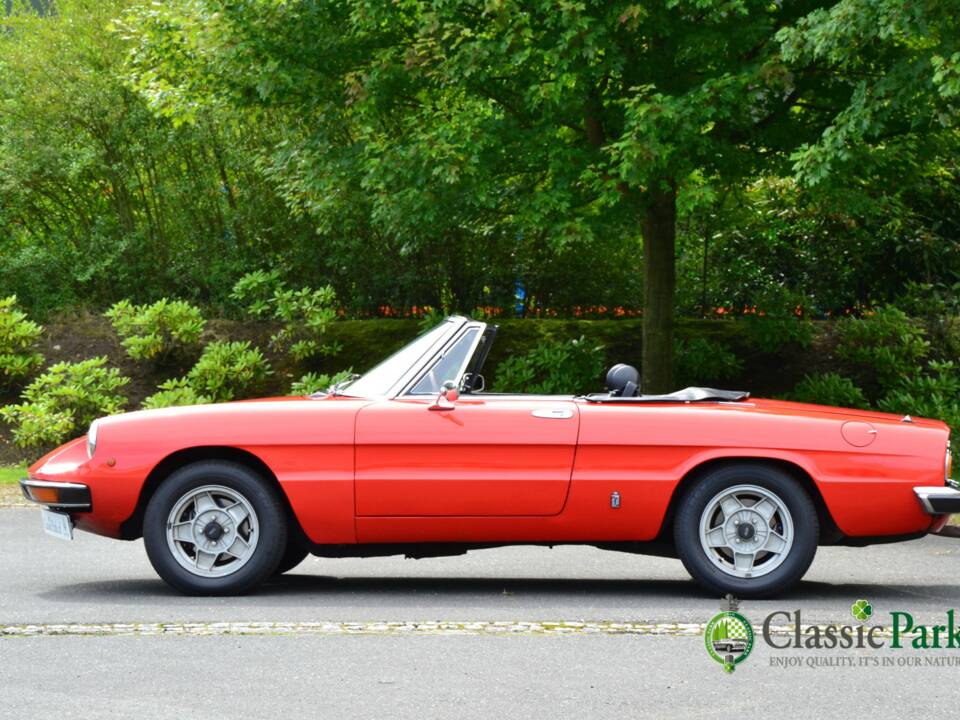 Imagen 2/50 de Alfa Romeo 2000 Spider Veloce (1981)
