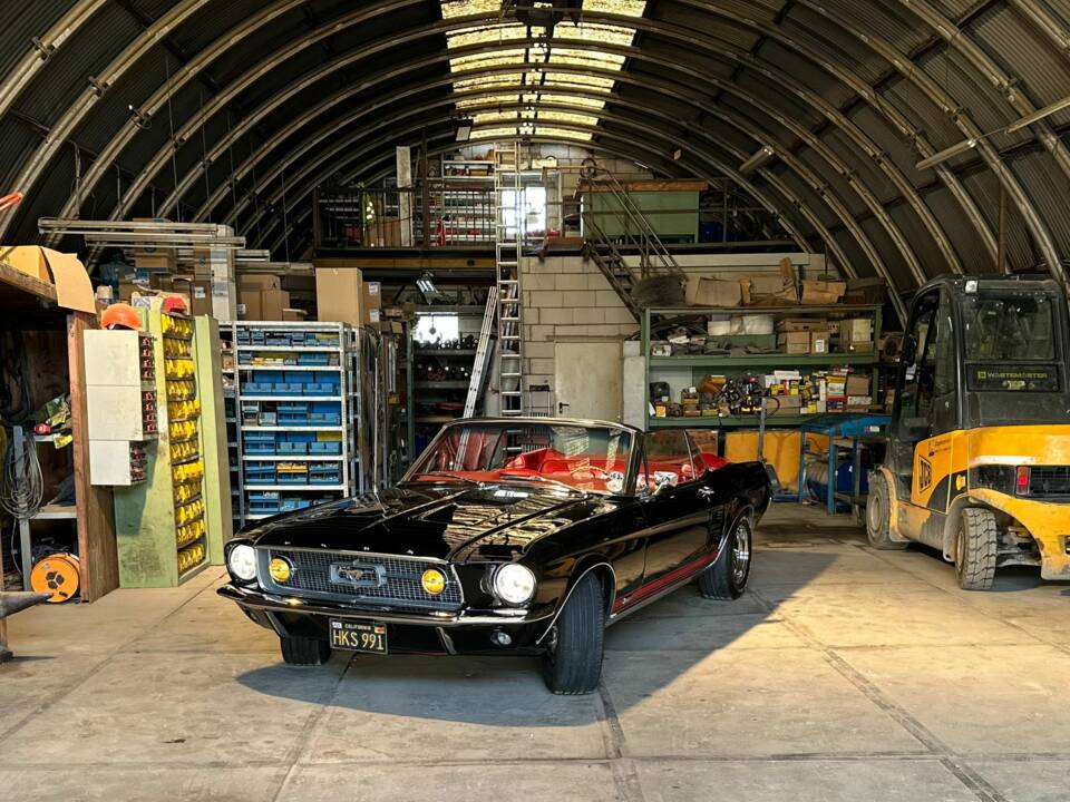 Image 15/36 of Ford Mustang 289 GTA (1967)