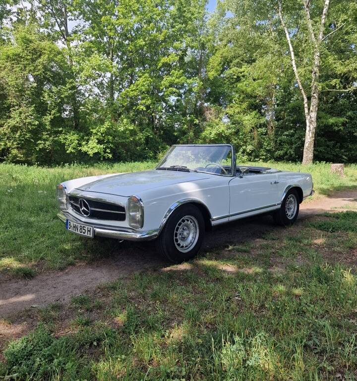 Image 1/100 de Mercedes-Benz 250 SL (1967)