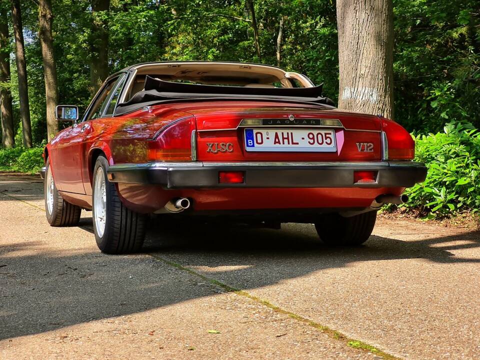 Bild 8/8 von Jaguar XJ-SC V12 (1986)
