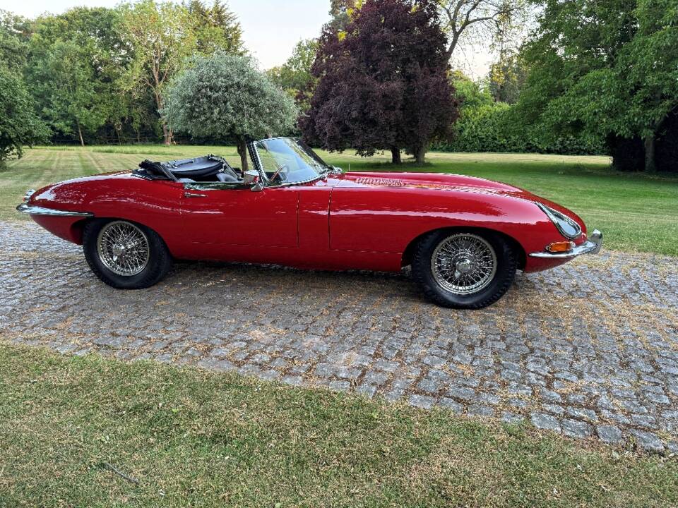 Bild 15/30 von Jaguar Type E 3.8 (1964)