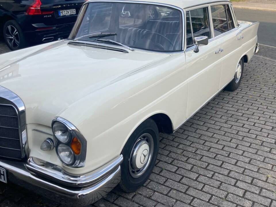 Immagine 5/5 di Mercedes-Benz 220 S b (1963)