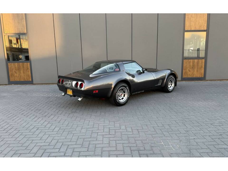 Bild 3/14 von Chevrolet Corvette Sting Ray (1981)