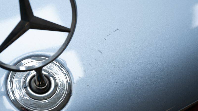 Bild 12/15 von Mercedes-Benz 600 SE (1991)