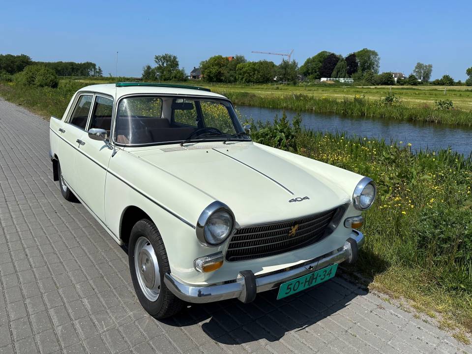 Image 5/50 of Peugeot 404 (1973)