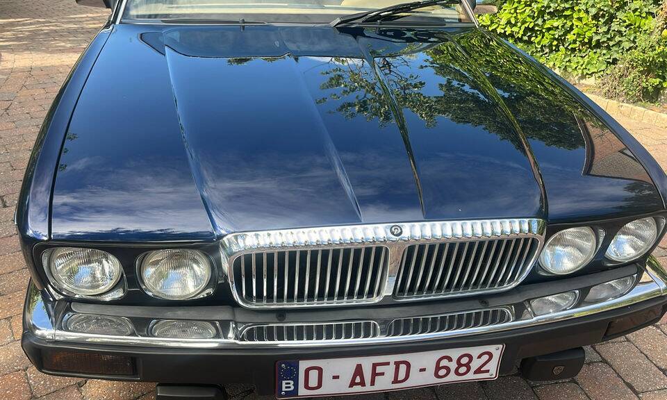 Afbeelding 4/8 van Daimler XJ 6 4.0 (1992)