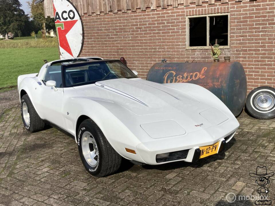 Afbeelding 1/50 van Chevrolet Corvette Sting Ray (1979)