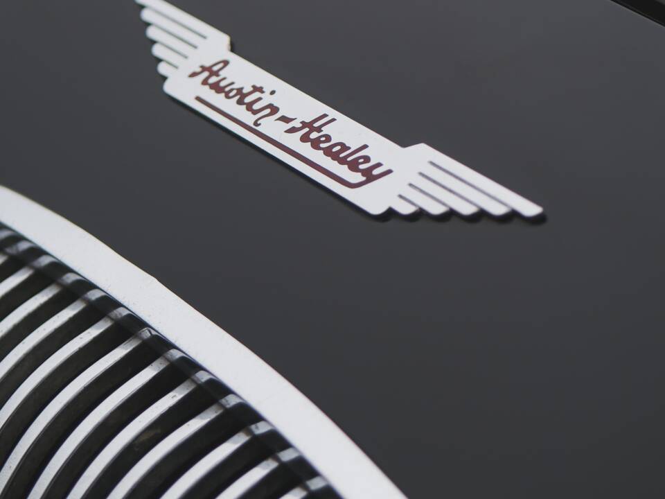 Image 19/53 de Austin-Healey 100/4 (BN2) (1955)