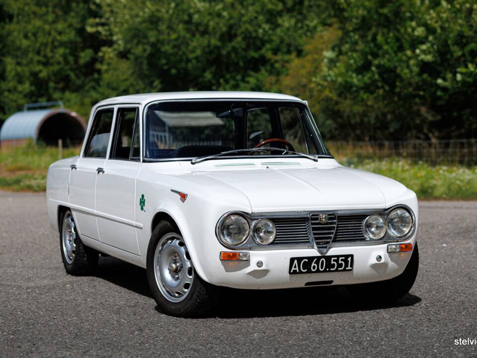 Image 6/40 de Alfa Romeo Giulia 1600 TI (1967)