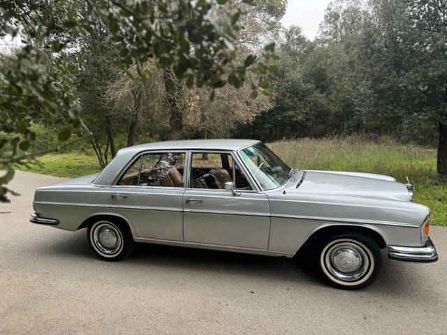 Imagen 11/42 de Mercedes-Benz 250 SE (1967)